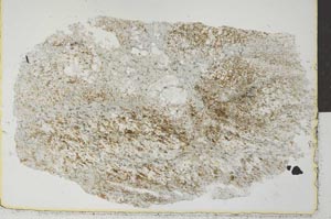 Plane Polarized, S29209
