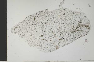 Plane Polarized, S29211