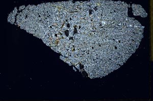 Cross Polarized, S29227