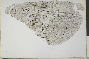 Plane Polarized, S29227