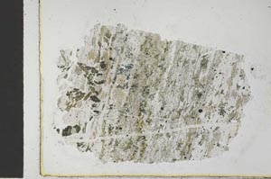 Plane Polarized, S29228