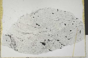 Plane Polarized, S29230