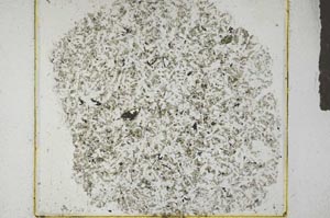 Plane Polarized, S29234