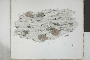 Plane Polarized, S29235
