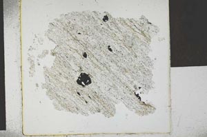 Plane Polarized, S29237