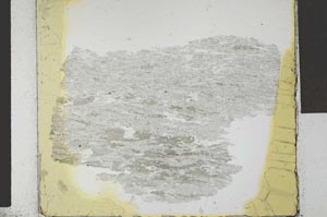 Plane Polarized, S29240