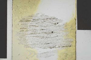 Plane Polarized, S29243