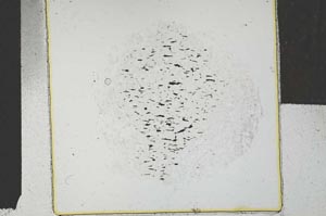Plane Polarized, S29259