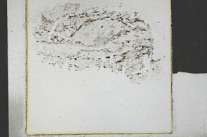 Plane Polarized, S29264