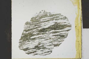 Plane Polarized, S29267
