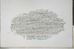 Plane Polarized, S29245