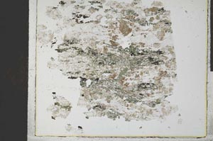 Plane Polarized, S29256