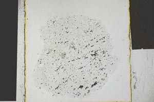 Plane Polarized, S29273