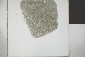Plane Polarized, S29279