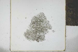 Plane Polarized, S29281