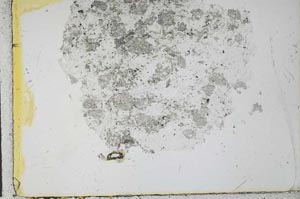 Plane Polarized, S29294