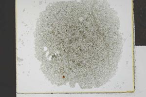 Plane Polarized, S29300