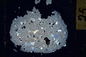 Cross Polarized, S29305