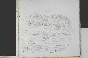 Plane Polarized, S29310