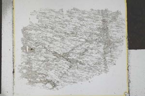 Plane Polarized, S29311