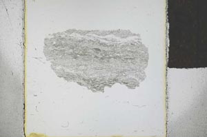 Plane Polarized, S29312