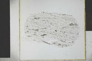 Plane Polarized, S29320