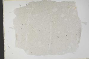 Plane Polarized, S29324/A