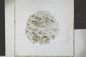 Plane Polarized, S29325