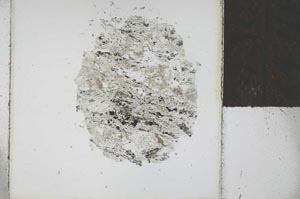 Plane Polarized, S29329