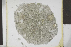 Plane Polarized, S29331