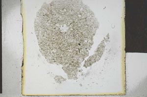 Plane Polarized, S29334