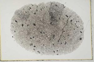 Plane Polarized, S29367