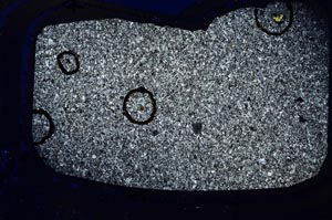 Cross Polarized, S29387/A