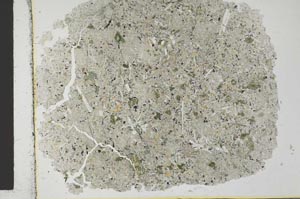 Plane Polarized, S29391