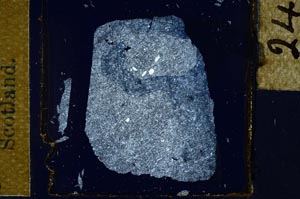 Cross Polarized, S29404