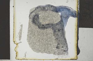 Plane Polarized, S29404