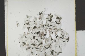 Plane Polarized, S29423