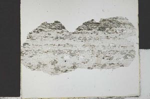 Plane Polarized, S29424