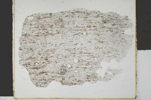 Plane Polarized, S29426