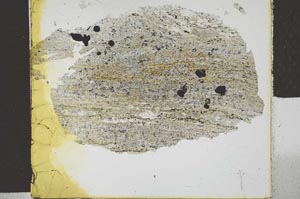 Plane Polarized, S29427