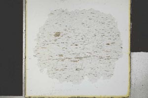 Plane Polarized, S29432