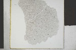 Plane Polarized, S29435