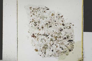Plane Polarized, S29438