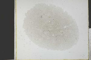 Plane Polarized, S29457