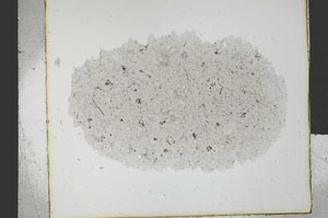 Plane Polarized, S29458