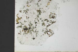 Plane Polarized, S29468