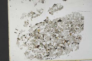 Plane Polarized, S29477