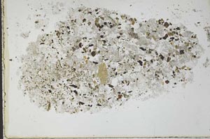 Plane Polarized, S29484