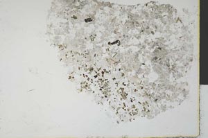 Plane Polarized, S29488