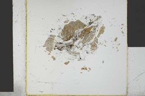 Plane Polarized, S29499